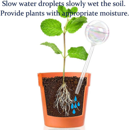 Plant Automatic Watering Devices, Clear Plastic Plant Self-Watering Bulb