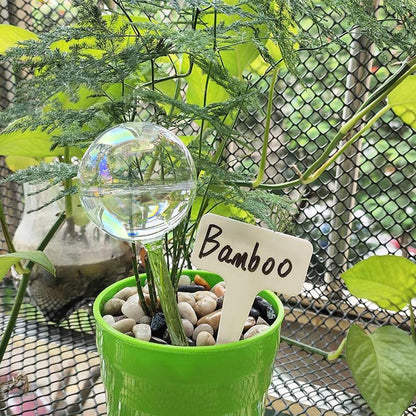 Plant Automatic Watering Devices, Clear Plastic Plant Self-Watering Bulb