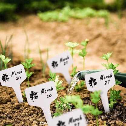 Plant Automatic Watering Devices, Clear Plastic Plant Self-Watering Bulb