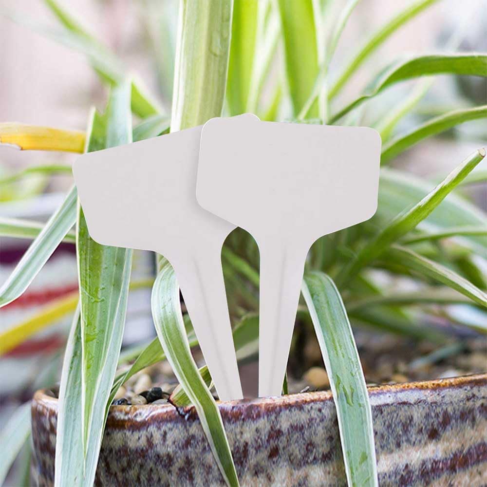 Plant Automatic Watering Devices, Clear Plastic Plant Self-Watering Bulb