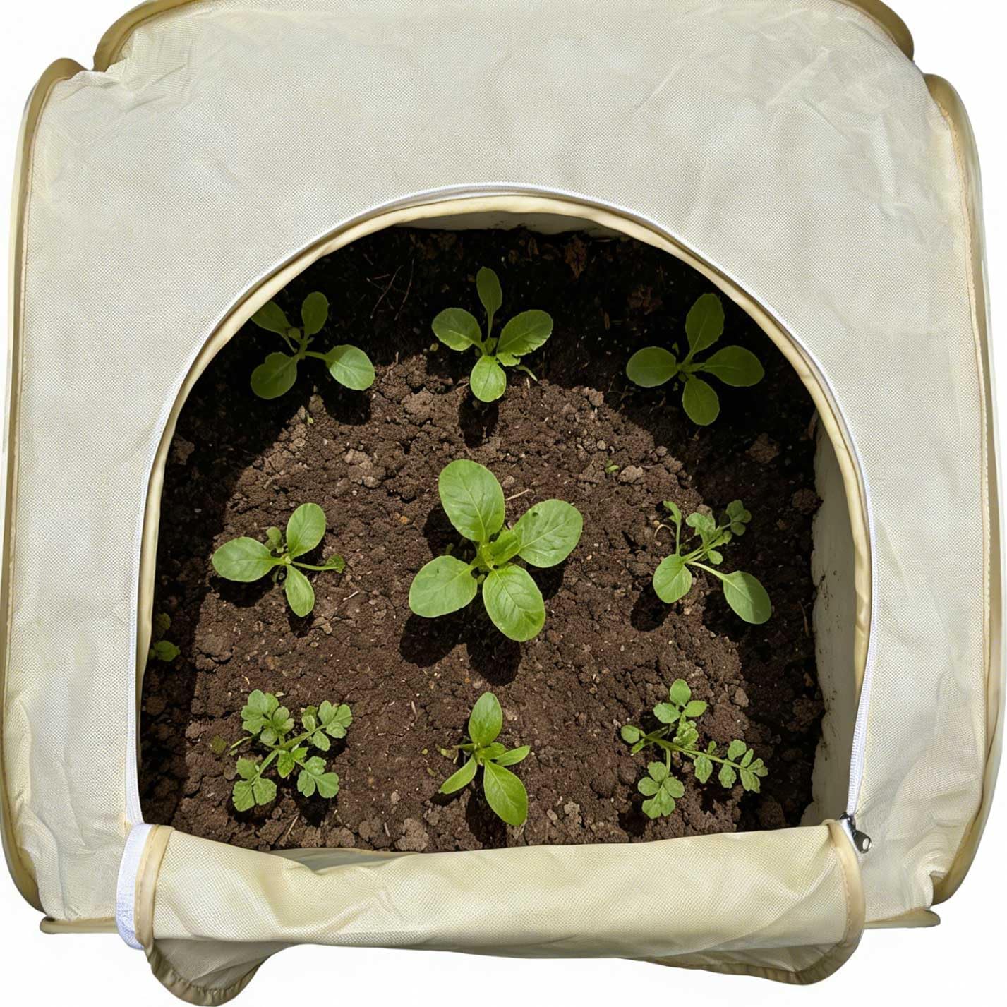 2 Pack Plant Freeze Protection Covers, Winter Shrub Frost Protection Covers for Plants in Winter Warm Plant Tent Protecting Fruit Potted Plants Tree from Freezing Animals Eating (30x30x30in)