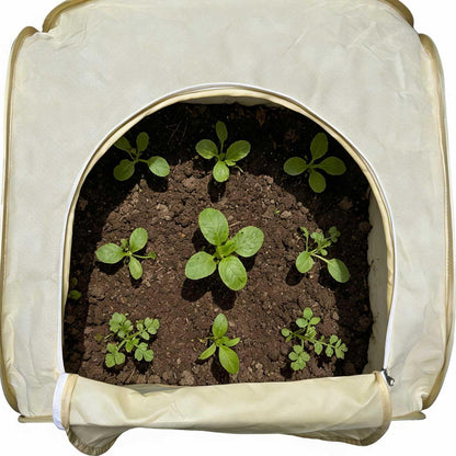 2 Pack Plant Freeze Protection Covers, Winter Shrub Frost Protection Covers for Plants in Winter Warm Plant Tent Protecting Fruit Potted Plants Tree from Freezing Animals Eating (30x30x30in)