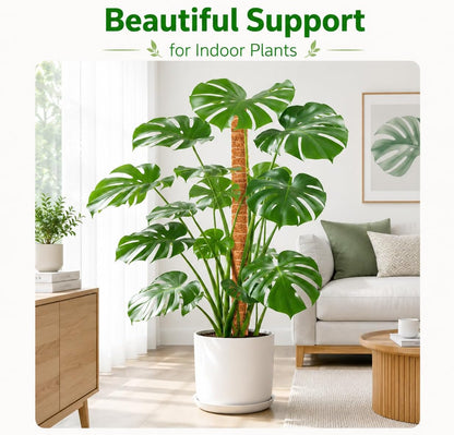 2 Pack Moss Pole, 26.8-Inch Moss Poles for Plants Monstera,Bendable Plant Support Stakes for Climbing Plants Indoor, Garden Trellis Plant Stick for Potted Plants, Pothos Philodendron