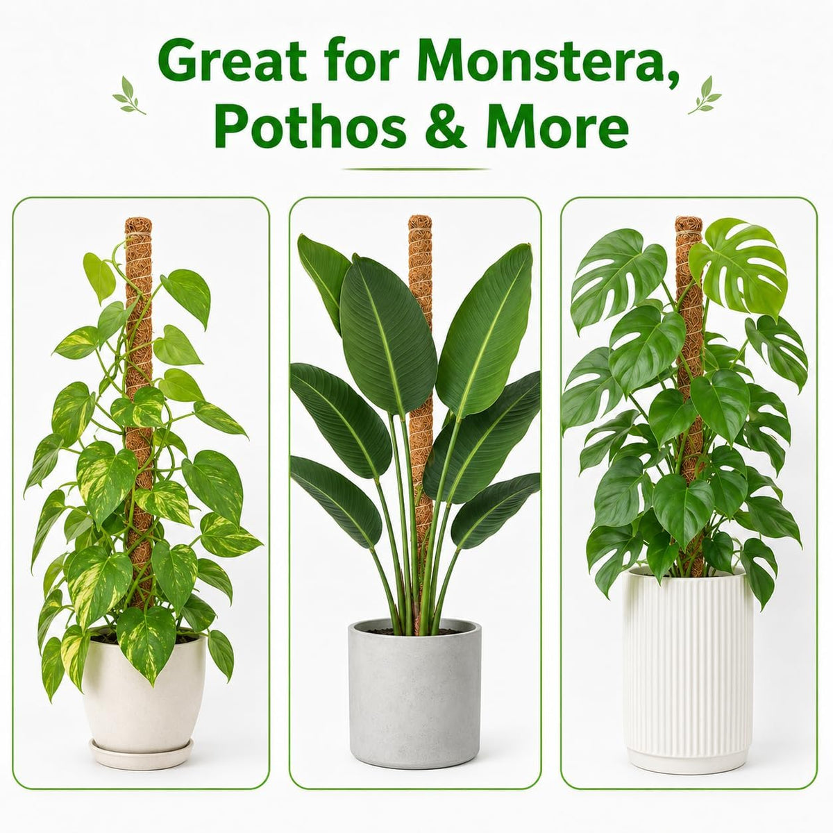 2 Pack Moss Pole, 26.8-Inch Moss Poles for Plants Monstera,Bendable Plant Support Stakes for Climbing Plants Indoor, Garden Trellis Plant Stick for Potted Plants, Pothos Philodendron
