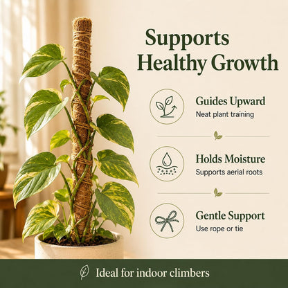 2 Pack Moss Pole, 26.8-Inch Moss Poles for Plants Monstera,Bendable Plant Support Stakes for Climbing Plants Indoor, Garden Trellis Plant Stick for Potted Plants, Pothos Philodendron