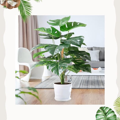 2 Pack Moss Pole, 26.8-Inch Moss Poles for Plants Monstera,Bendable Plant Support Stakes for Climbing Plants Indoor, Garden Trellis Plant Stick for Potted Plants, Pothos Philodendron