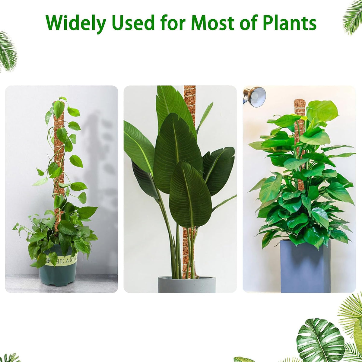 2 Pack Moss Pole, 26.8-Inch Moss Poles for Plants Monstera,Bendable Plant Support Stakes for Climbing Plants Indoor, Garden Trellis Plant Stick for Potted Plants, Pothos Philodendron