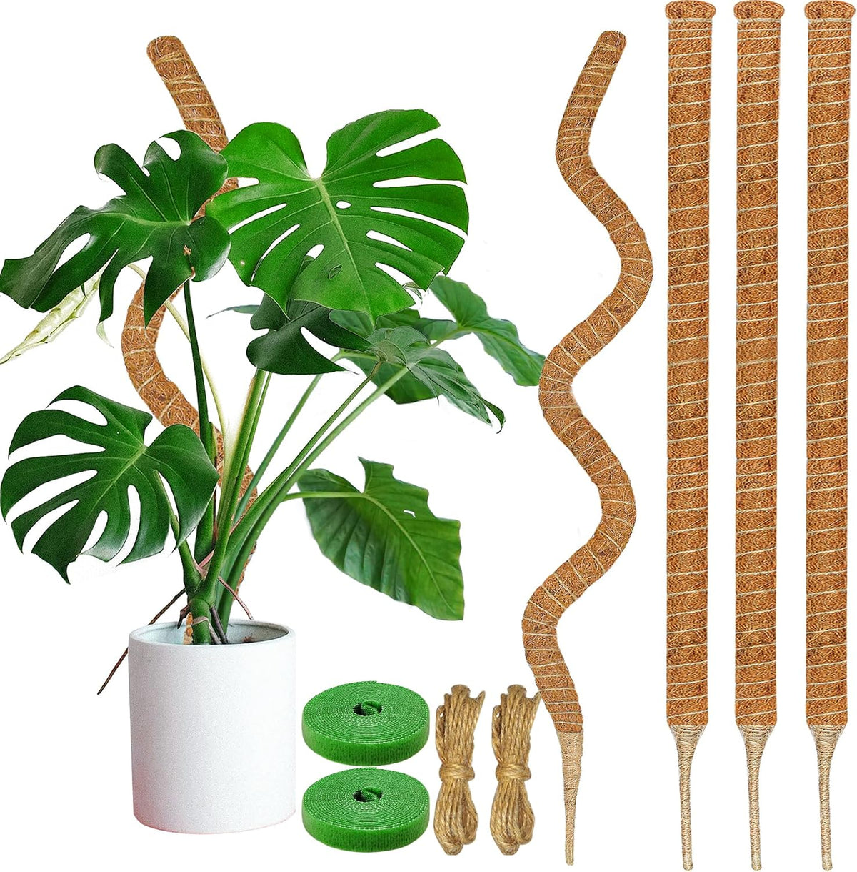 2 Pack Moss Pole, 26.8-Inch Moss Poles for Plants Monstera,Bendable Plant Support Stakes for Climbing Plants Indoor, Garden Trellis Plant Stick for Potted Plants, Pothos Philodendron