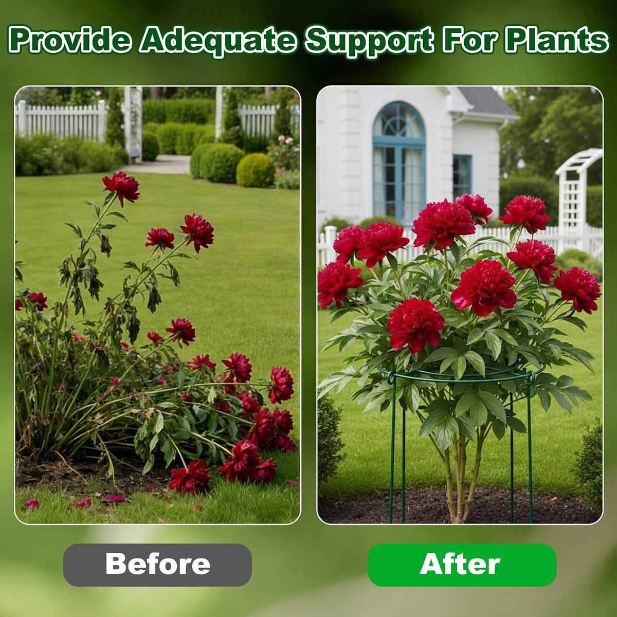 5 Pack Metal Peony Cages and Supports with 20 Plant Twist Clip Ties, Plant Support Stakes for Indoor Outdoor Plants, Tall Plant Holder Stick Kit, Plant Support Ring for Peony, Rose,Tomato, Hydrangea