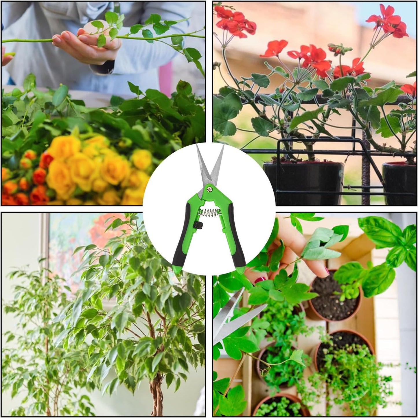 20 Pack 6.5 Inch Garden Pruning Scissors, Hand Pruner with Stainless Steel Blades, Sharp Point Gardening Shears Cutter, Gardening Pruning Shear, Supplies & Accessories(Green)