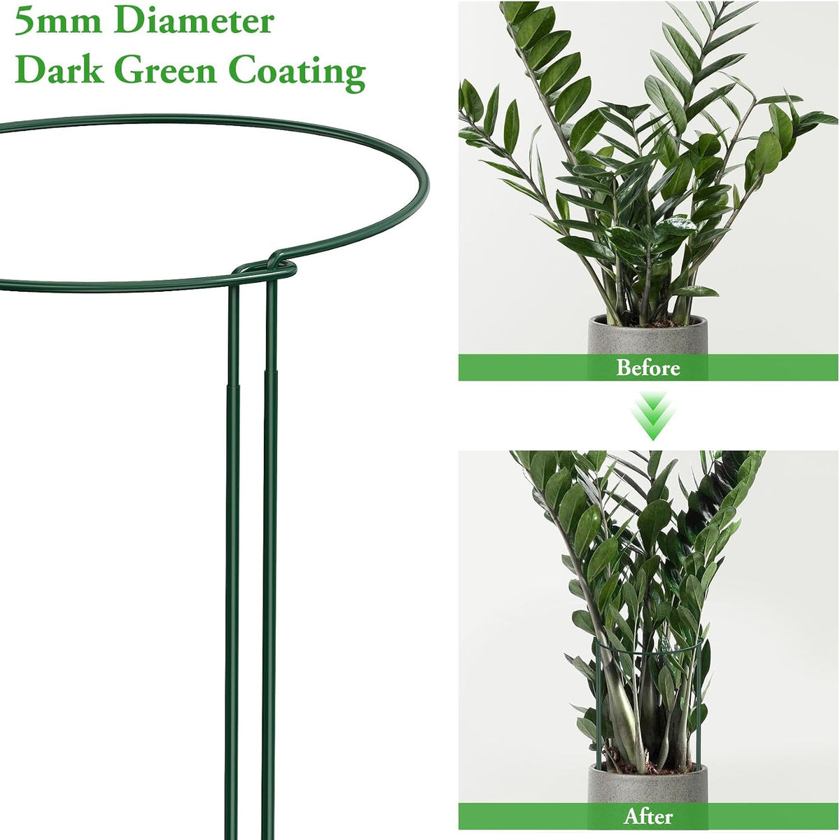 6 Pack Peony Cage, 32" x 13" Half Round Metal Plant Support Stakes