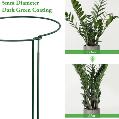 6 Pack Peony Cage, 32" x 13" Half Round Metal Plant Support Stakes