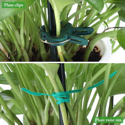 6 Pack Peony Cage, 32" x 13" Half Round Metal Plant Support Stakes