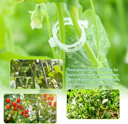 Pynqdfu 400 Pcs Plastic Trellis Plant Support Clips,Vine Vegetable Fixing Clips,Grape Tomato Plant Support,Garden Vine Clips for Healthier Vegetable Growth (Green)
