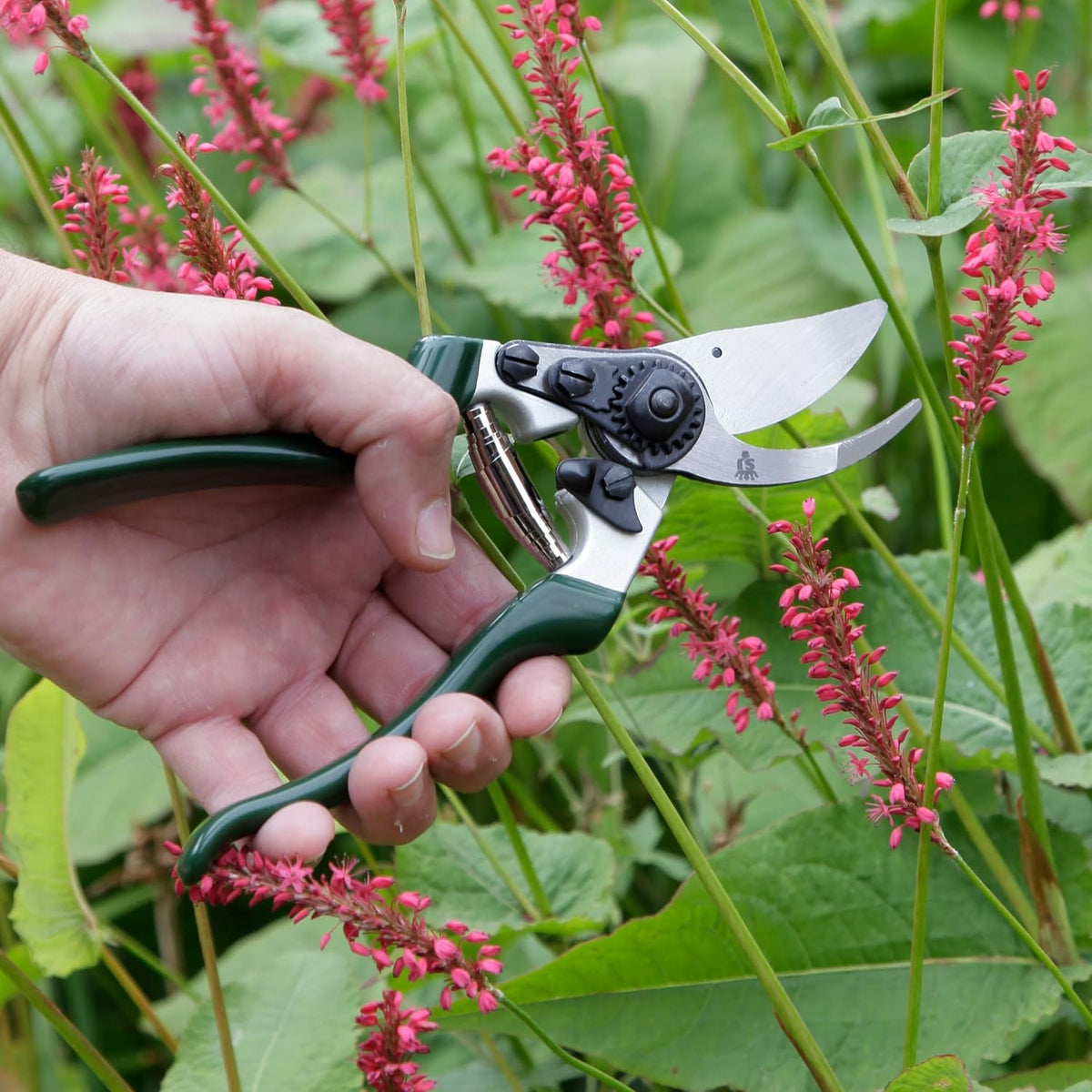 Razorsharp Left-Handed Bypass Pruners, Precision Gardening Shears with Carbon Steel Blades for Clean, Effortless Cuts