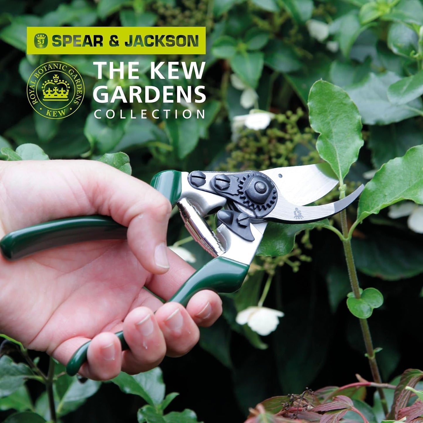 Razorsharp Left-Handed Bypass Pruners, Precision Gardening Shears with Carbon Steel Blades for Clean, Effortless Cuts