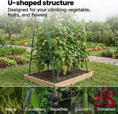 Cucumber Trellis for Raised Bed, Garden Trellis for Climbing Plants Outdoor, Metal Arch Trellis U-Shape Vegetables Support for Tomotoes Grape Vines Beans Peas (Green, 31.5" L x 24" W x 48" H)