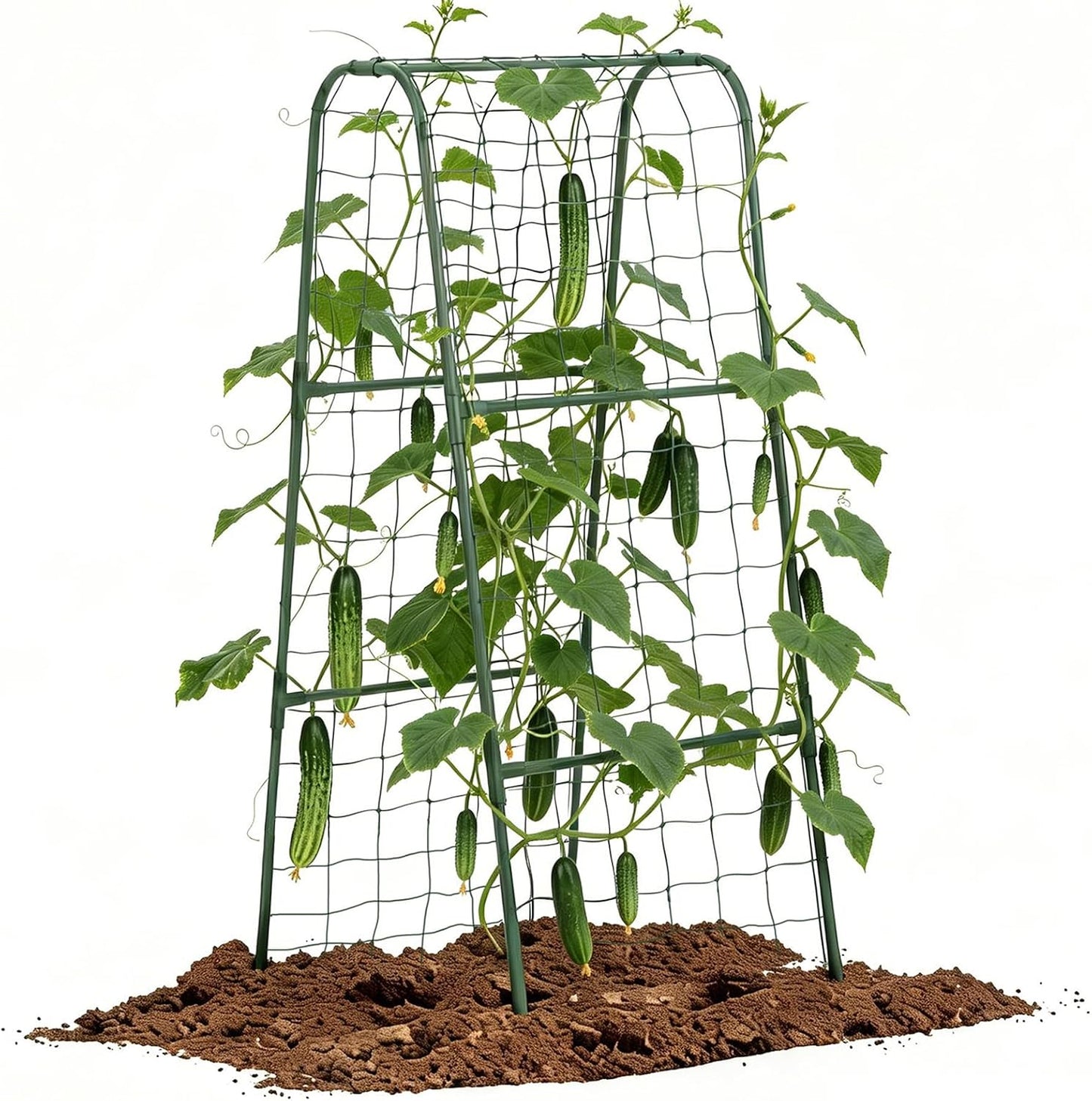 Cucumber Trellis for Raised Bed, Garden Trellis for Climbing Plants Outdoor, Metal Arch Trellis U-Shape Vegetables Support for Tomotoes Grape Vines Beans Peas (Green, 31.5" L x 24" W x 48" H)