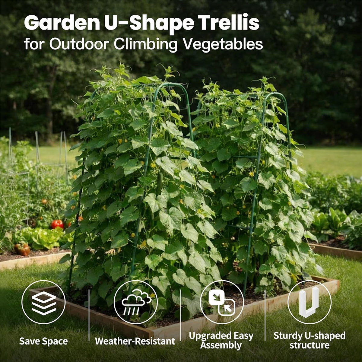 Cucumber Trellis for Raised Bed, Garden Trellis for Climbing Plants Outdoor, Metal Arch Trellis U-Shape Vegetables Support for Tomotoes Grape Vines Beans Peas (Green, 31.5" L x 24" W x 48" H)