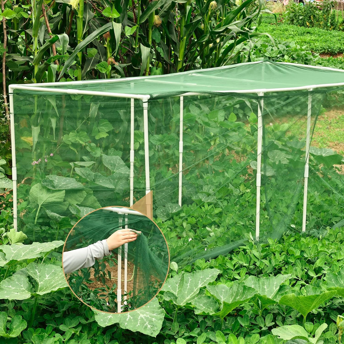 72 * 33 * 30 in Detachable Crop Cages for Garden, Plant Protection Tent with Garden Netting for Vegetables Fruits Flowers,Mesh Plant Covers for Outdoors (Green)