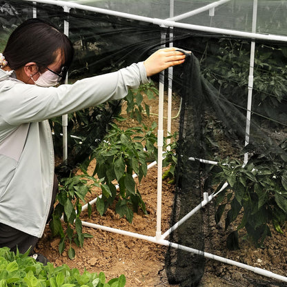 72 * 33 * 30 in Detachable Crop Cages for Garden, Plant Protection Tent with Garden Netting for Vegetables Fruits Flowers,Mesh Plant Covers for Outdoors (Green)