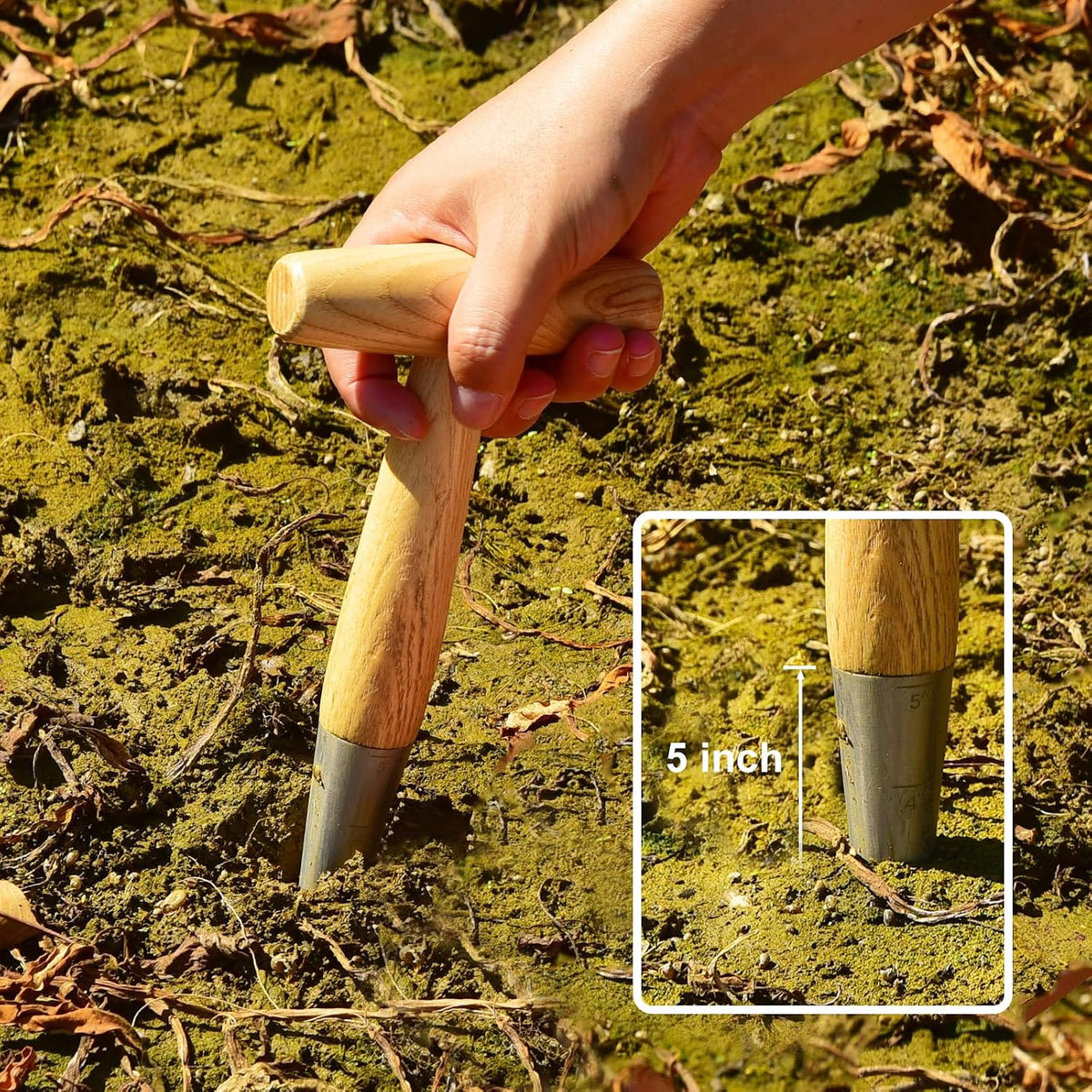 Seed Dibber Hand Garden Tool, Bulb Planter Digging Holes