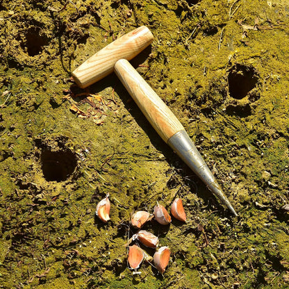 Seed Dibber Hand Garden Tool, Bulb Planter Digging Holes