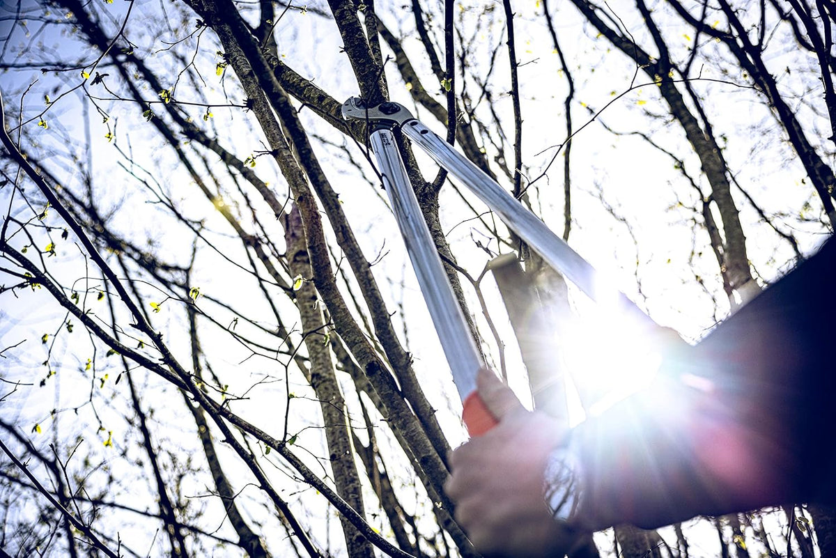 Professional Anvil Lopper Garden Tools 22.080 | Use as Pruners, Garden Shears, Pruning Shears for Gardening | For cutting branches, twigs, trees & shrubs | 31.5 inches | Made in Germany