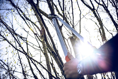 Professional Anvil Lopper Garden Tools 22.080 | Use as Pruners, Garden Shears, Pruning Shears for Gardening | For cutting branches, twigs, trees & shrubs | 31.5 inches | Made in Germany