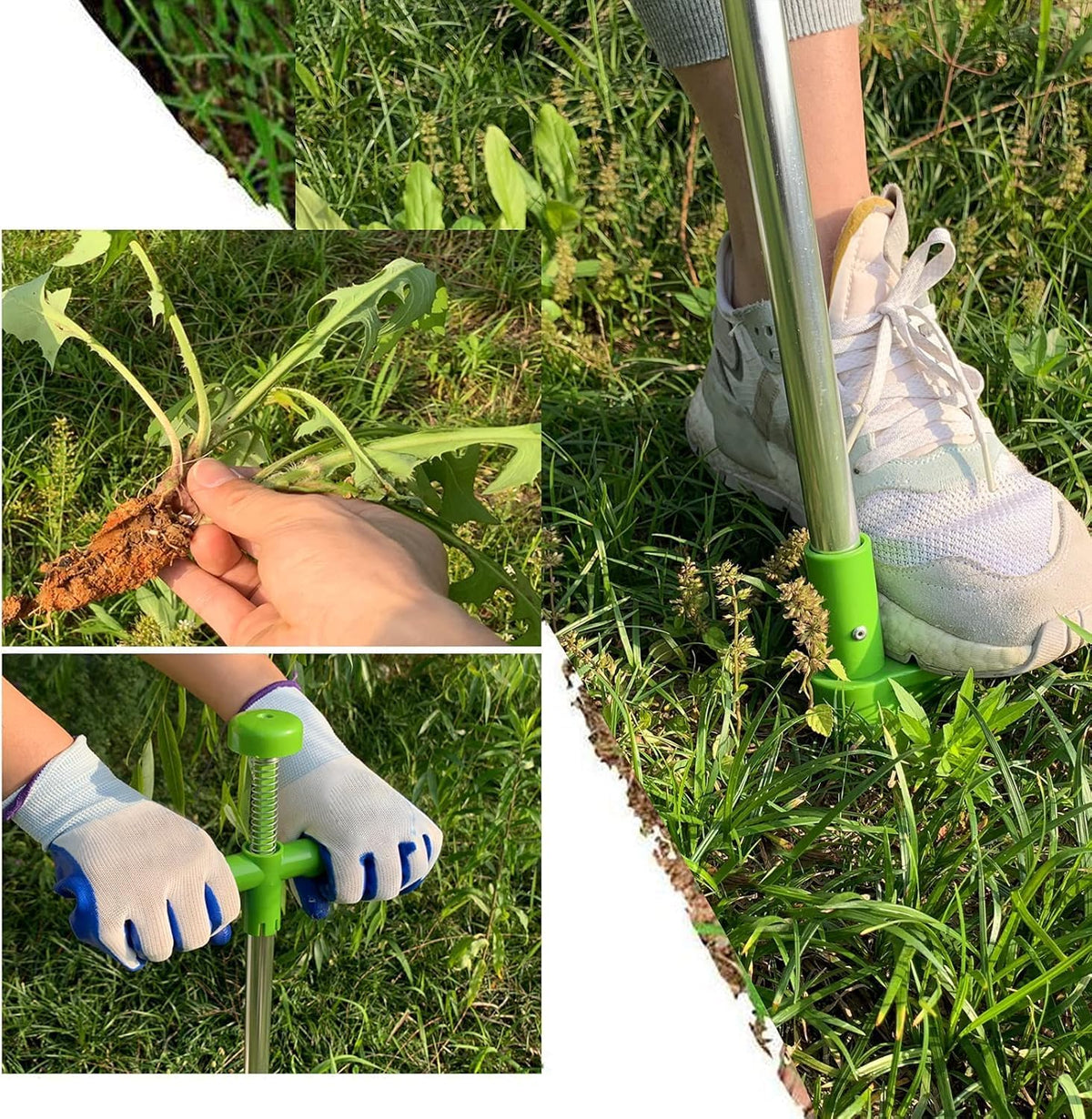 Stand Up Weed Puller Hand Tool - 39" Long Handle Garden Weeding Tool with 3 Sharp Claws & Foot Pedal, Efficient Weed Hound Puller for Dandelion & Root Removal (3 Claws)