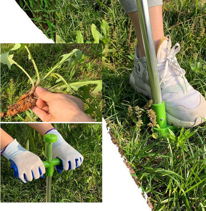 Stand Up Weed Puller Hand Tool - 39" Long Handle Garden Weeding Tool with 3 Sharp Claws & Foot Pedal, Efficient Weed Hound Puller for Dandelion & Root Removal (3 Claws)
