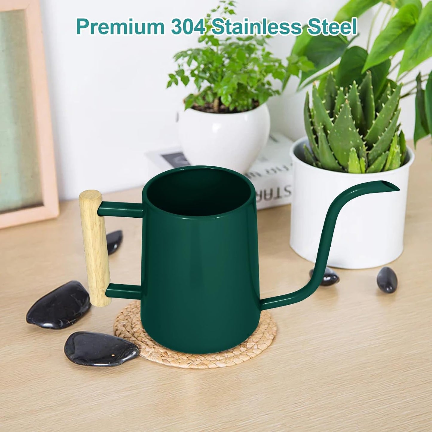 Watering Can for Indoor Plants, 35 oz/1000 ml Metal Stainless Steel Pot with Long Spout for House Plants Bonsai Outdoor Garden Flower Decorative (Black)