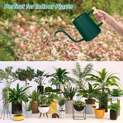 Watering Can for Indoor Plants, 35 oz/1000 ml Metal Stainless Steel Pot with Long Spout for House Plants Bonsai Outdoor Garden Flower Decorative (Black)