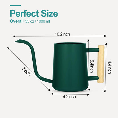 Watering Can for Indoor Plants, 35 oz/1000 ml Metal Stainless Steel Pot with Long Spout for House Plants Bonsai Outdoor Garden Flower Decorative (Black)