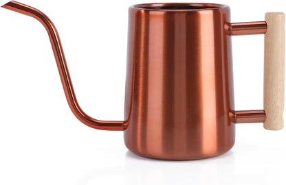 Watering Can for Indoor Plants, 35 oz/1000 ml Metal Stainless Steel Pot with Long Spout for House Plants Bonsai Outdoor Garden Flower Decorative (Black)