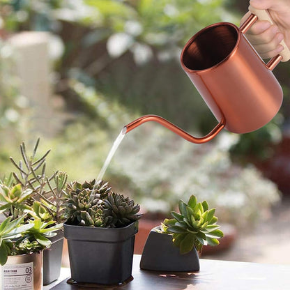 Watering Can for Indoor Plants, 35 oz/1000 ml Metal Stainless Steel Pot with Long Spout for House Plants Bonsai Outdoor Garden Flower Decorative (Black)