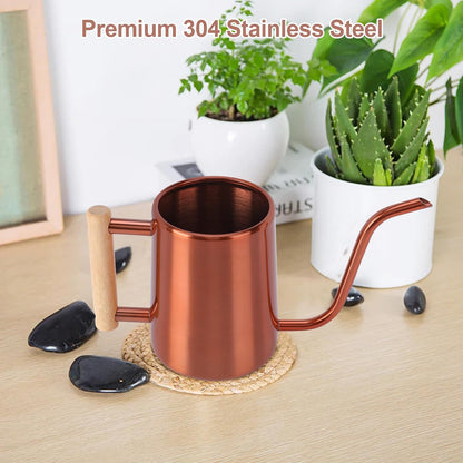 Watering Can for Indoor Plants, 35 oz/1000 ml Metal Stainless Steel Pot with Long Spout for House Plants Bonsai Outdoor Garden Flower Decorative (Black)