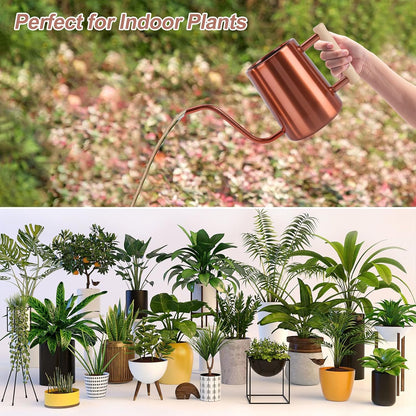 Watering Can for Indoor Plants, 35 oz/1000 ml Metal Stainless Steel Pot with Long Spout for House Plants Bonsai Outdoor Garden Flower Decorative (Black)