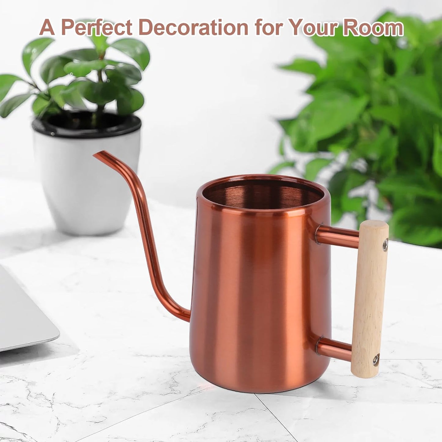 Watering Can for Indoor Plants, 35 oz/1000 ml Metal Stainless Steel Pot with Long Spout for House Plants Bonsai Outdoor Garden Flower Decorative (Black)