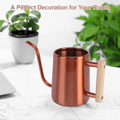 Watering Can for Indoor Plants, 35 oz/1000 ml Metal Stainless Steel Pot with Long Spout for House Plants Bonsai Outdoor Garden Flower Decorative (Black)
