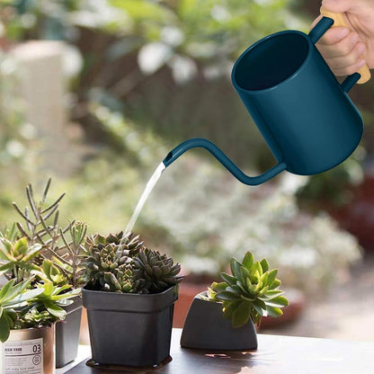 Watering Can for Indoor Plants, 35 oz/1000 ml Metal Stainless Steel Pot with Long Spout for House Plants Bonsai Outdoor Garden Flower Decorative (Black)