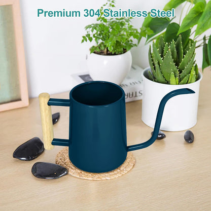 Watering Can for Indoor Plants, 35 oz/1000 ml Metal Stainless Steel Pot with Long Spout for House Plants Bonsai Outdoor Garden Flower Decorative (Black)
