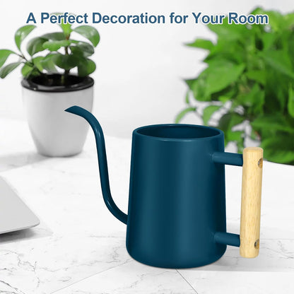 Watering Can for Indoor Plants, 35 oz/1000 ml Metal Stainless Steel Pot with Long Spout for House Plants Bonsai Outdoor Garden Flower Decorative (Black)