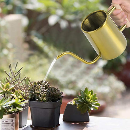 Watering Can for Indoor Plants, 35 oz/1000 ml Metal Stainless Steel Pot with Long Spout for House Plants Bonsai Outdoor Garden Flower Decorative (Black)