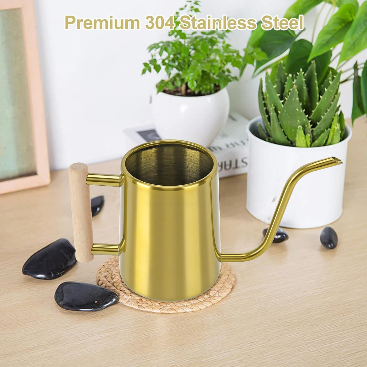 Watering Can for Indoor Plants, 35 oz/1000 ml Metal Stainless Steel Pot with Long Spout for House Plants Bonsai Outdoor Garden Flower Decorative (Black)