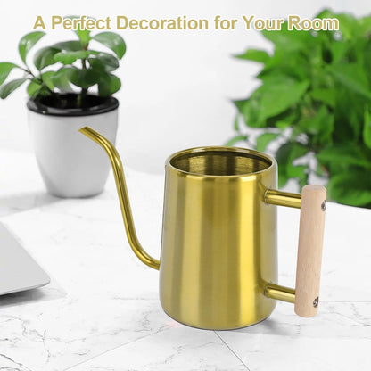Watering Can for Indoor Plants, 35 oz/1000 ml Metal Stainless Steel Pot with Long Spout for House Plants Bonsai Outdoor Garden Flower Decorative (Black)
