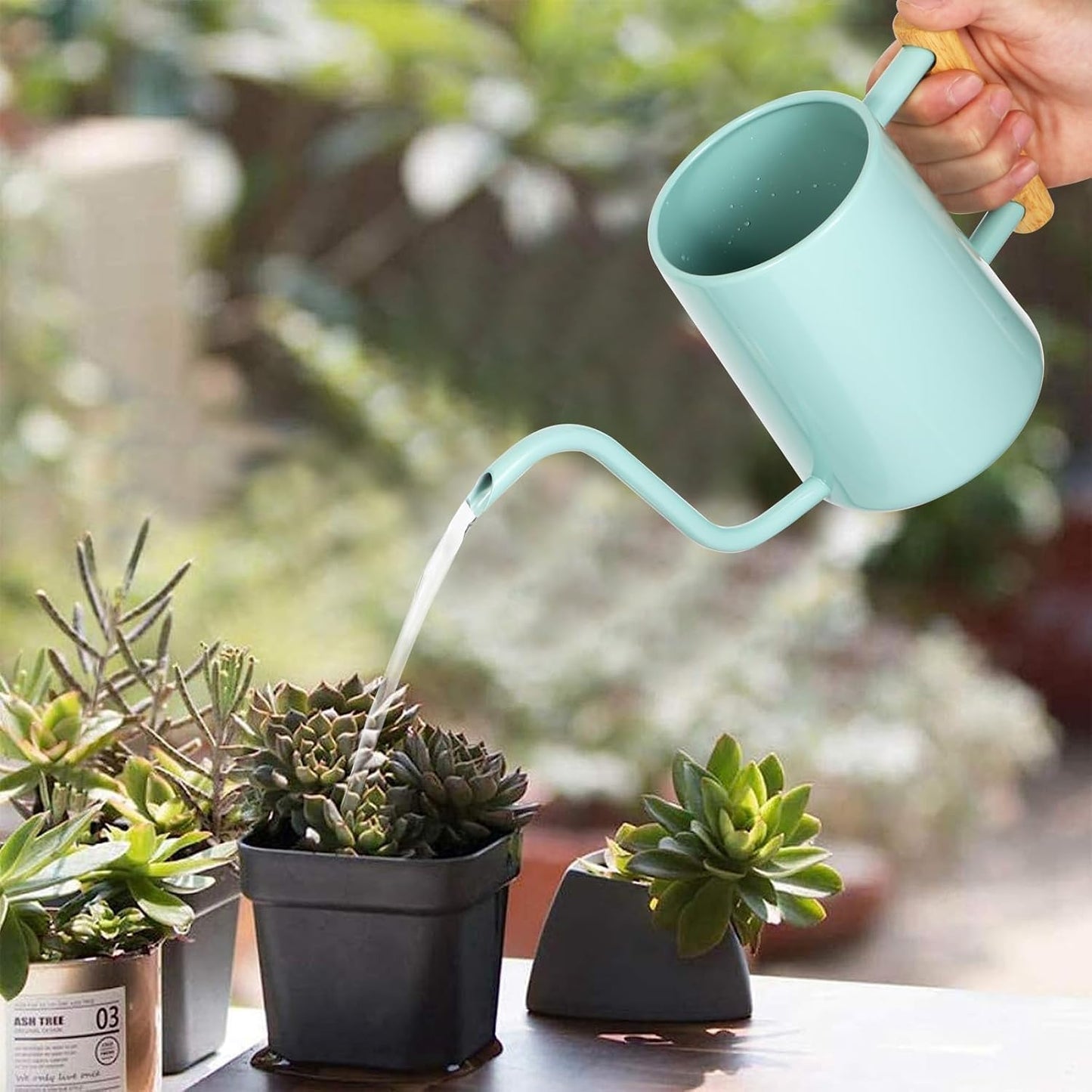 Watering Can for Indoor Plants, 35 oz/1000 ml Metal Stainless Steel Pot with Long Spout for House Plants Bonsai Outdoor Garden Flower Decorative (Black)