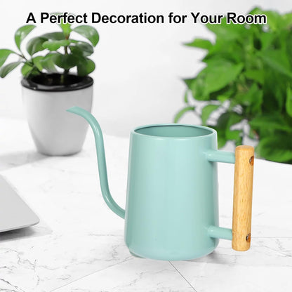 Watering Can for Indoor Plants, 35 oz/1000 ml Metal Stainless Steel Pot with Long Spout for House Plants Bonsai Outdoor Garden Flower Decorative (Black)