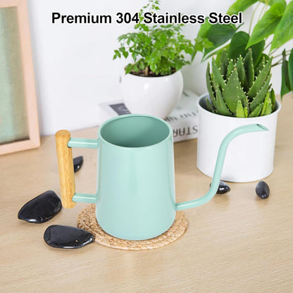 Watering Can for Indoor Plants, 35 oz/1000 ml Metal Stainless Steel Pot with Long Spout for House Plants Bonsai Outdoor Garden Flower Decorative (Black)
