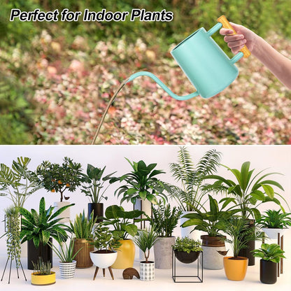 Watering Can for Indoor Plants, 35 oz/1000 ml Metal Stainless Steel Pot with Long Spout for House Plants Bonsai Outdoor Garden Flower Decorative (Black)